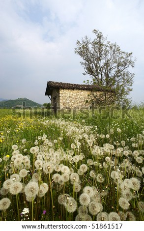 Rodengo (Bs),Franciacorta,Italy,a rural farm building for storing farm equipment between fields