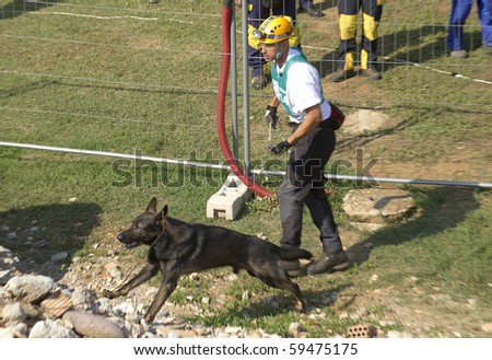 OSPITALETTO, ITALY - AUGUST 21:  World Championship rescue dogs, a dog for the italian team to a test for the surface,August 21,2010 in Ospitaletto,Italy