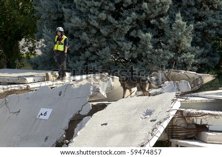 OSPITALETTO,ITALY -AUGUST 21: World Championship rescue dogs, a dog of italian dog unit to a test for the surface,August 21,2010 in Ospitaletto,Italy