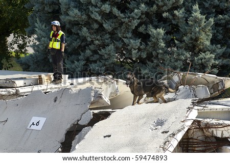 OSPITALETTO, ITALY - AUGUST 21:  World Championship rescue dogs, a dog of italian dog unit to a test for the surface,August 21,2010 in Ospitaletto,Italy