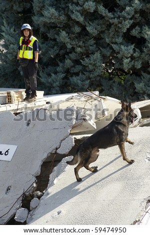 OSPITALETTO,ITALY - AUGUST 21: World Championship rescue dogs, a dog of italian dog unit to a test for the surface,August 21,2010 in Ospitaletto,Italy