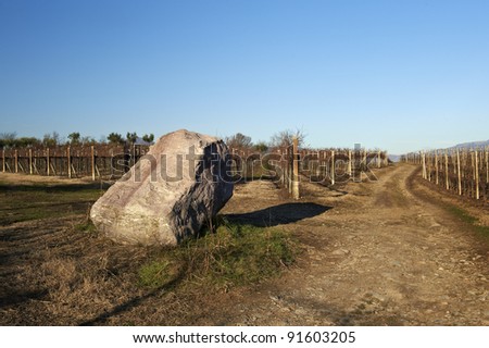 Calino Franciacorta (Bs), Italy, a big stone in the vineyards,used to define the properties