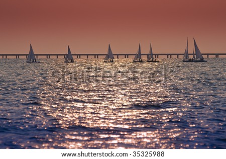 A group of small sailboats in regatta during warm late afternoon sunset.