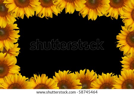 frame Sunflower