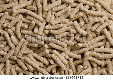 cat and dog pets dry food texture