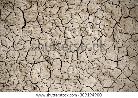 Dry cracked earth background, clay desert texture.