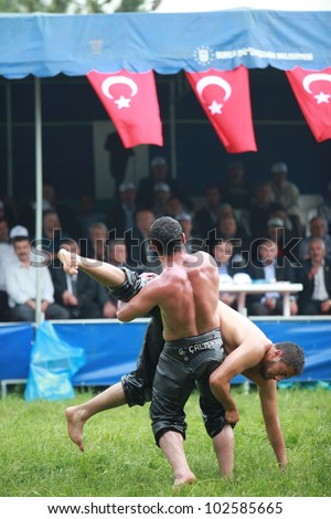 BURSA, TURKEY-MAY 13: 338 th  traditional Turkish oil wrestling championship held in Bursa on May 13, 2012 in Bursa,Turkey.