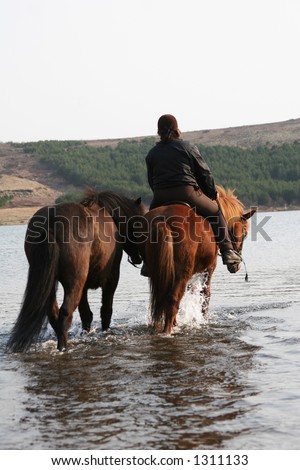 person riding 2 horses, crossing a river/lake
