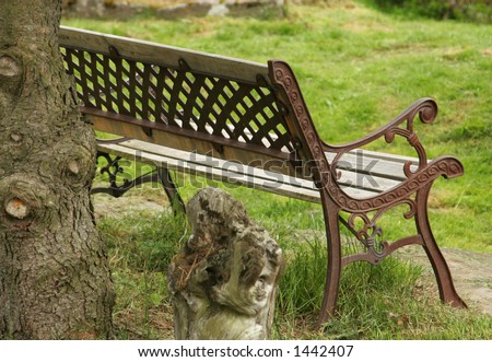 Garden bench in a botanical garden, framed behind the mass of a pinetree and facing an open space