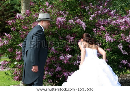 Bride and groom , just married smelling flowers on a flowering tree in a botanic garden