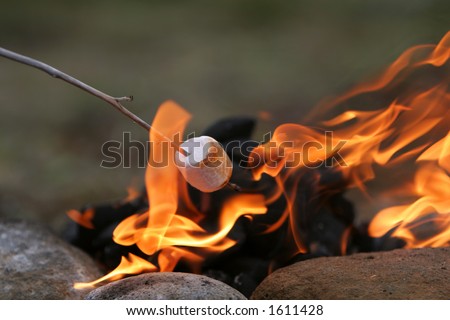marshmallow on a stick being roasted over a camping fire
