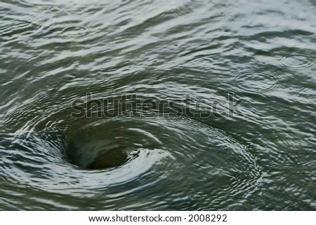 A swirling vortex in water