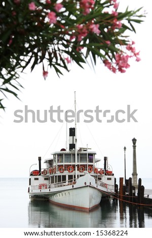 A white tourist boat tied to the docks on a lake, fog over the lake obscuring everything in the background. pretty flowering tree blurry in foreground