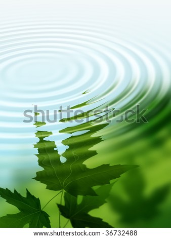 Green leaves reflection on the water