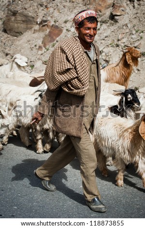 LAHOUL VALLEY, INDIA - SEPTEMBER 05:Himalayan shepherd from Lahoul Valley leads his goat and sheep flock. India, Himachal Pradesh, Lahoul Valley September 05, 2012