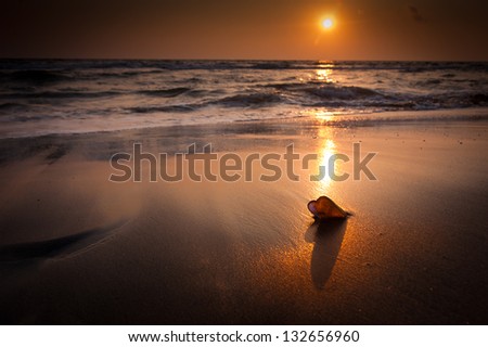 Sunset at tropical beach landscape. Sea shell at the ocean coast with black sand under evening sun