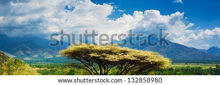 Tropical landscape of south India with tree in front, mountains and cloudy sky. Sunny day at Kerala, India. Three images panorama
