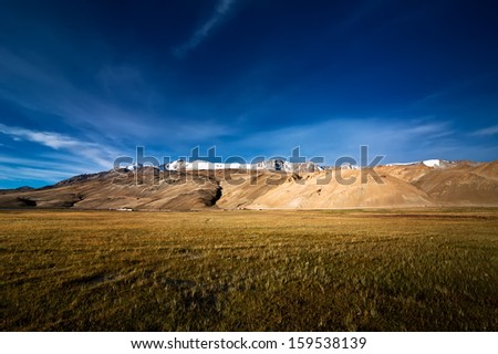 Barley field at dawn near Tso Moriri Lake. Himalaya mountains range landscape with Tso Moriri lake. India, Ladakh, altitude 4600 m