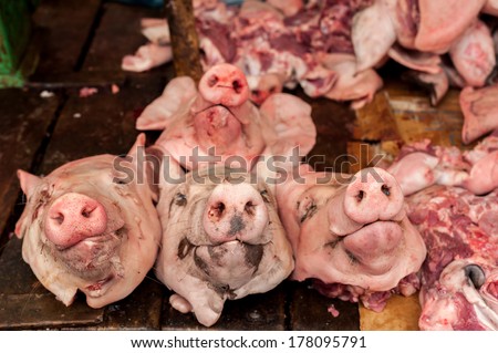 Raw fresh heads of organic pig for sale at asian food market