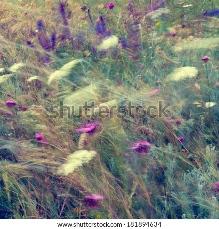 Abstract floral background in vintage style. Wild flowers and grass mowing at windy summer field. Watercolor effect