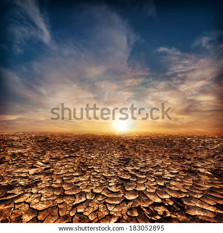 Global warming concept. Lonely drought cracked desert landscape under evening sunset sky