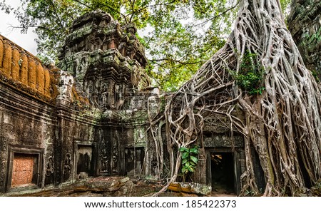 Ancient Khmer architecture. Ta Prohm temple with giant banyan tree at Angkor Wat complex, Siem Reap, Cambodia. Two images panorama