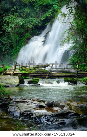 Tropical rain forest landscape with jungle plants, flowing water of Pha Dok Xu waterfall and bamboo bridge. Mae Klang Luang village, Doi Inthanon National park, Chiang Mai province, Thailand