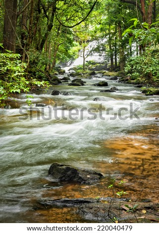 Tropical rainforest landscape with flowing river, rocks and jungle plants. Chiang Mai province, Thailand
