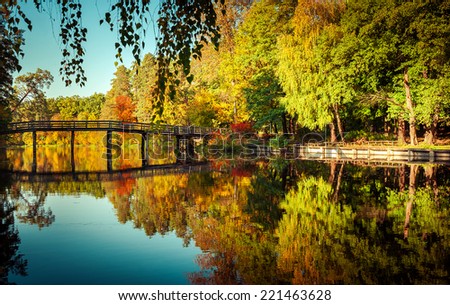 Sunny day in outdoor park with wooden bridge on lake and colorful autumn trees reflection under blue sky. Amazing bright colors of autumn nature landscape