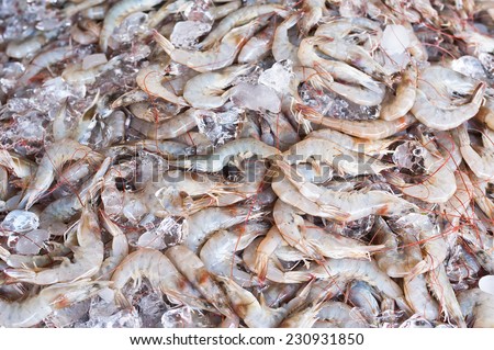 Fresh frozen shrimps on ice for sale at asian seafood market