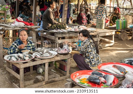 BAGAN, MYANMAR - JANUARY 16, 2014: Burmese woman selling fish at traditional asian marketplace. Burma travel destinations