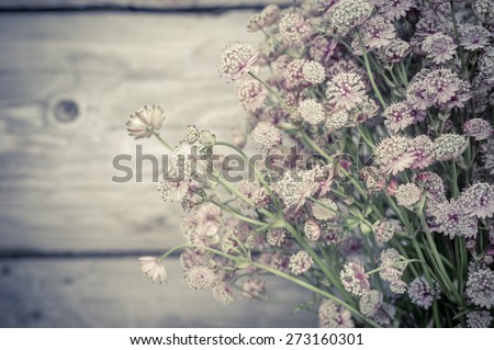 Beautiful tender bouquet of summer meadow flowers on wooden background. Floral composition in rural vintage style