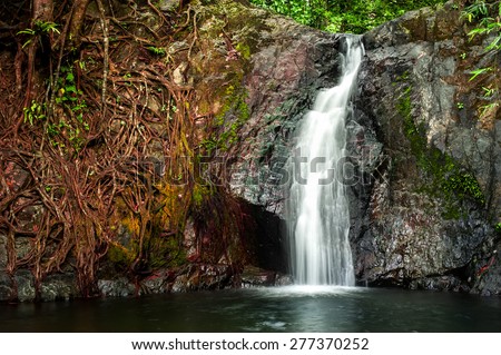 Tropical rain forest landscape with jungle plants and flowing water of small waterfall. Vang Vieng, Laos