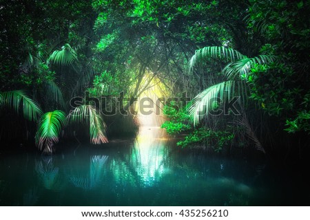 Fantasy jungle landscape of turquoise tropical lake in mangrove rain forest with tunnel and path way through lush. Sri Lanka nature and travel destinations