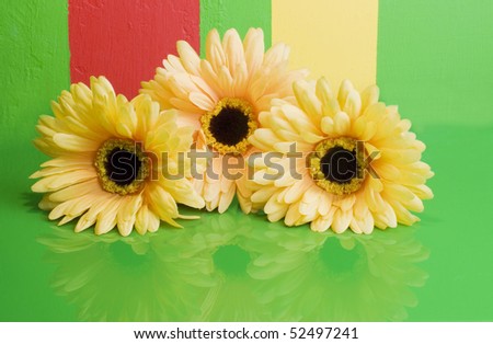 yellow artificial silk flowers over multicolored painted wall