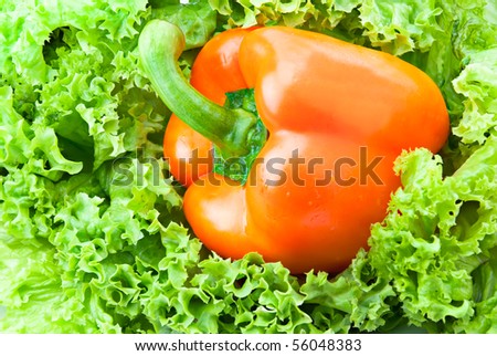 Orange paprika and salad background