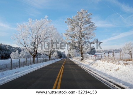 Roadside Ice Trees