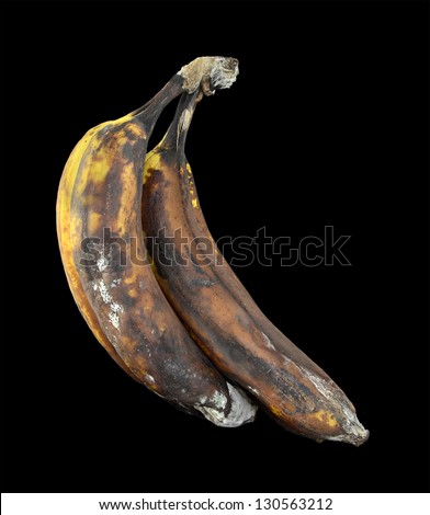 moldy bananas shutterstock search