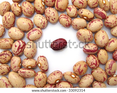 Red bean surrounded by pinto beans group
