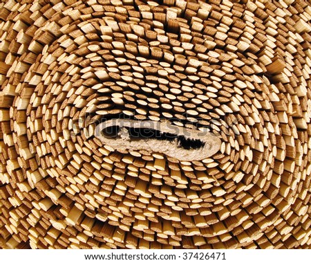 Cross section of rolled wooden curtain