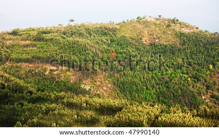 Hill station near Yercaud, India showing lush green forest area