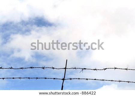 Barbed wire against the sky Background (Freedom)