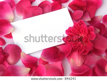 Petals and a flower with a blank card for your text; Focus on card.
