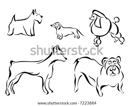 Dog Breeds And Pictures. Animal Series: Dog Breeds