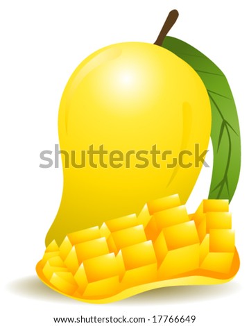 Mango - Vector - 17766649 : Shutterstock