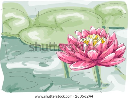 Lotus Flower - Vector - 28356244 : Shutterstock