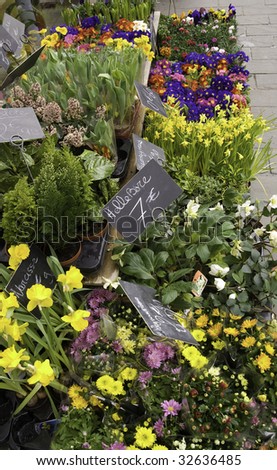 French Flower Market