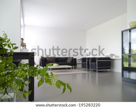 modern private living and dining room with plant in the foreground