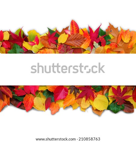 decorative autumn image with copy space for your text