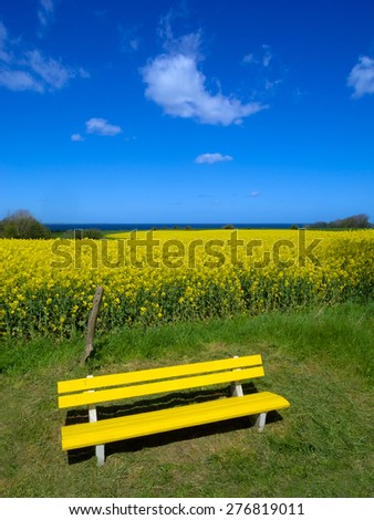 Spring landscape with blooming canola field, yellow bench and the sea